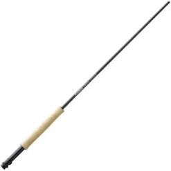 CANNE MOUCHE SAGE FOUNDATION